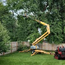 Seasonal Cleanup (Spring/Fall) in Crandall, TX